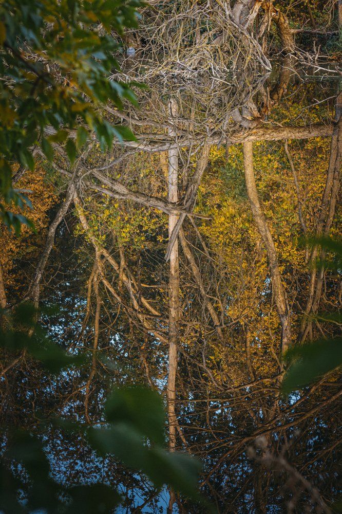 Photograph by Аксинья Абрамова