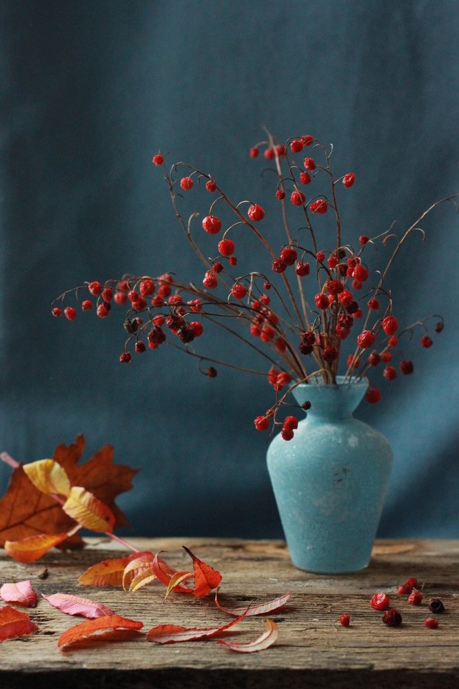 Photograph by Екатерина