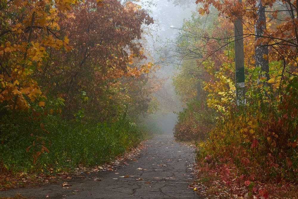 Photograph by Евгений Лобойко