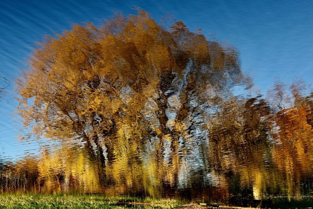 Photograph by Ольга Пилиповец