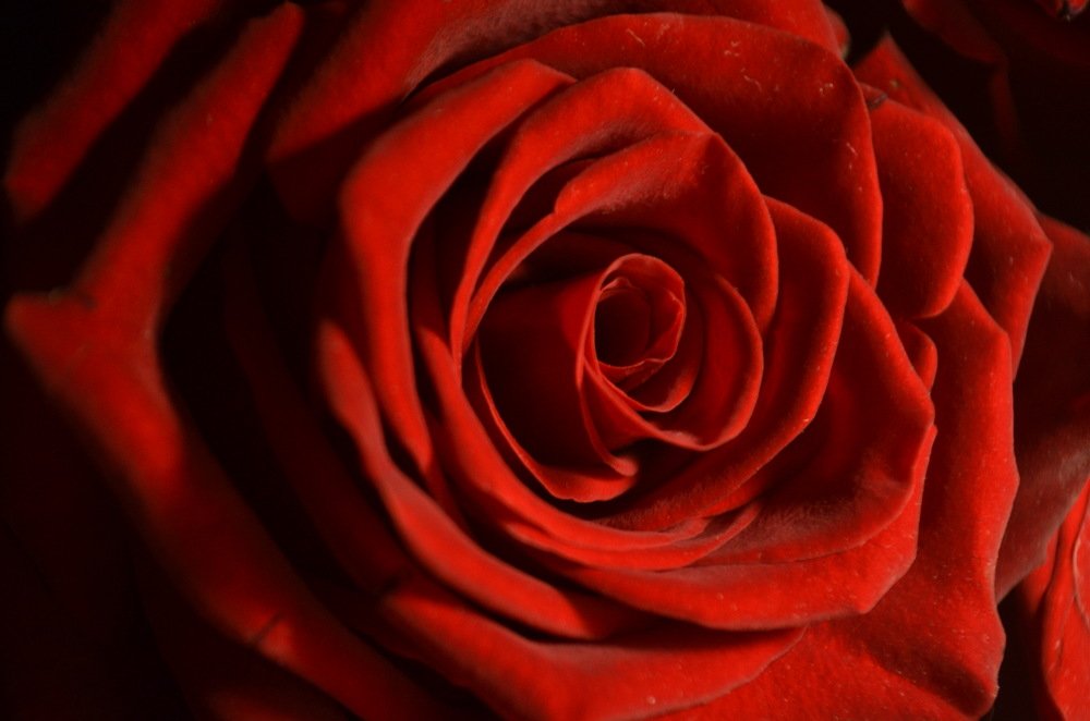 Фотография автора Евгения Илина