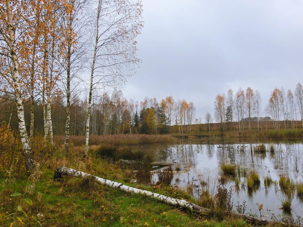 Photograph by Диана Бородзе