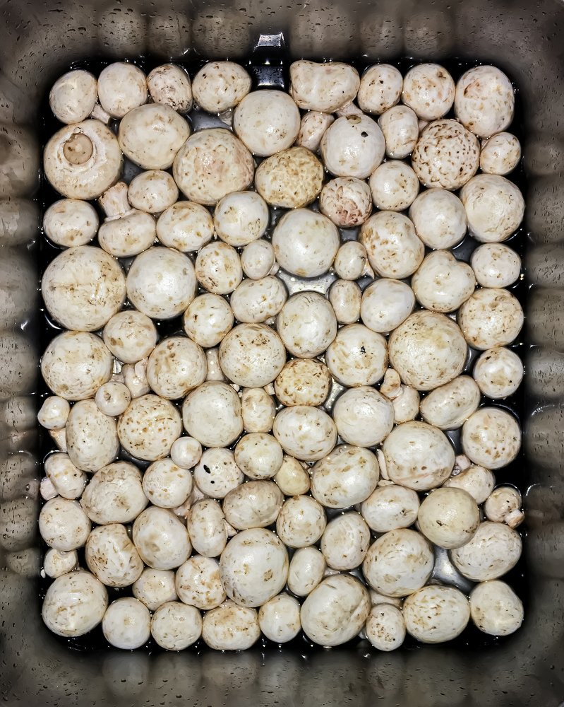 Photograph by Ali Souri