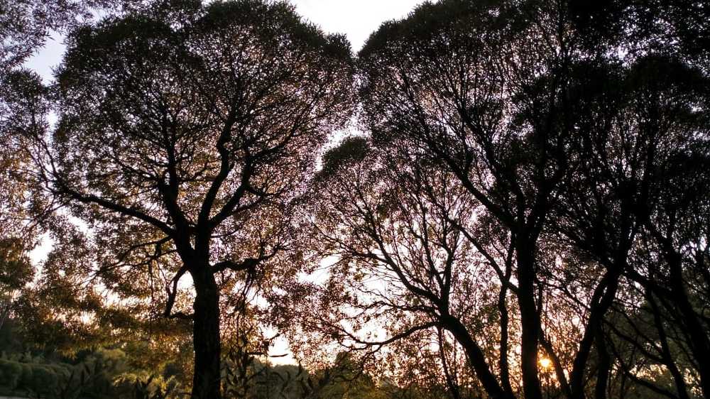 Photograph by евгения