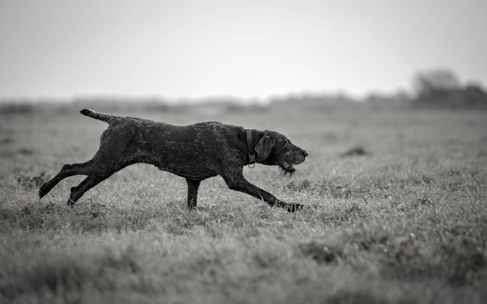 Photograph by Evgeniya Glinskaya