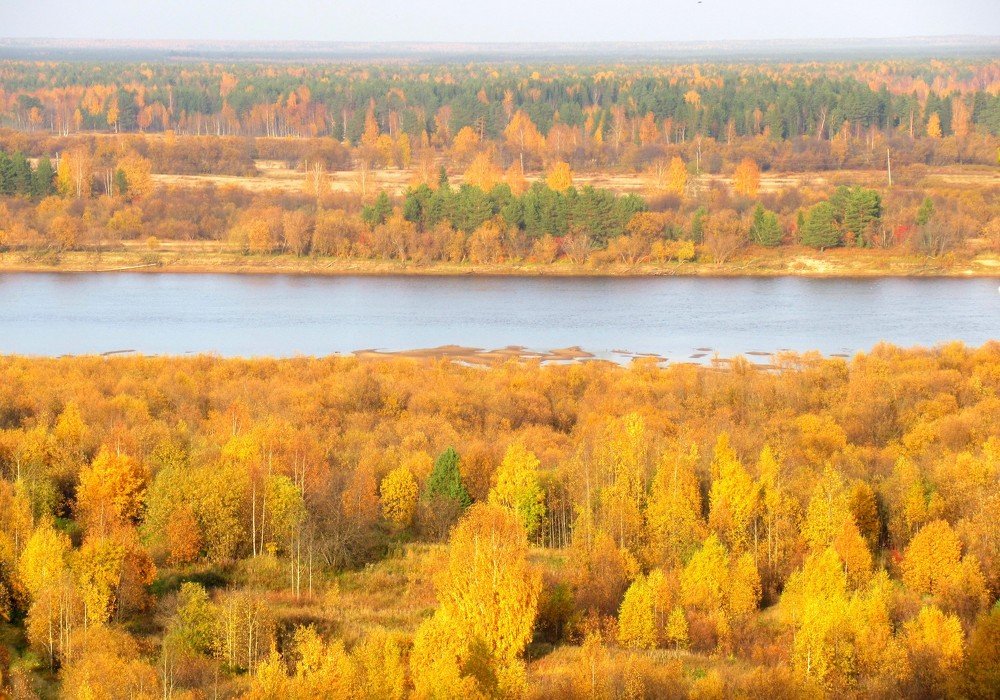 Золотые берега