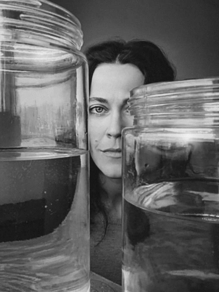 Photograph by Сафронова Любовь