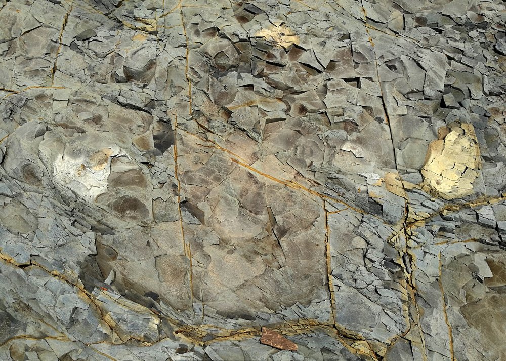 Photograph by Галина Щипакина