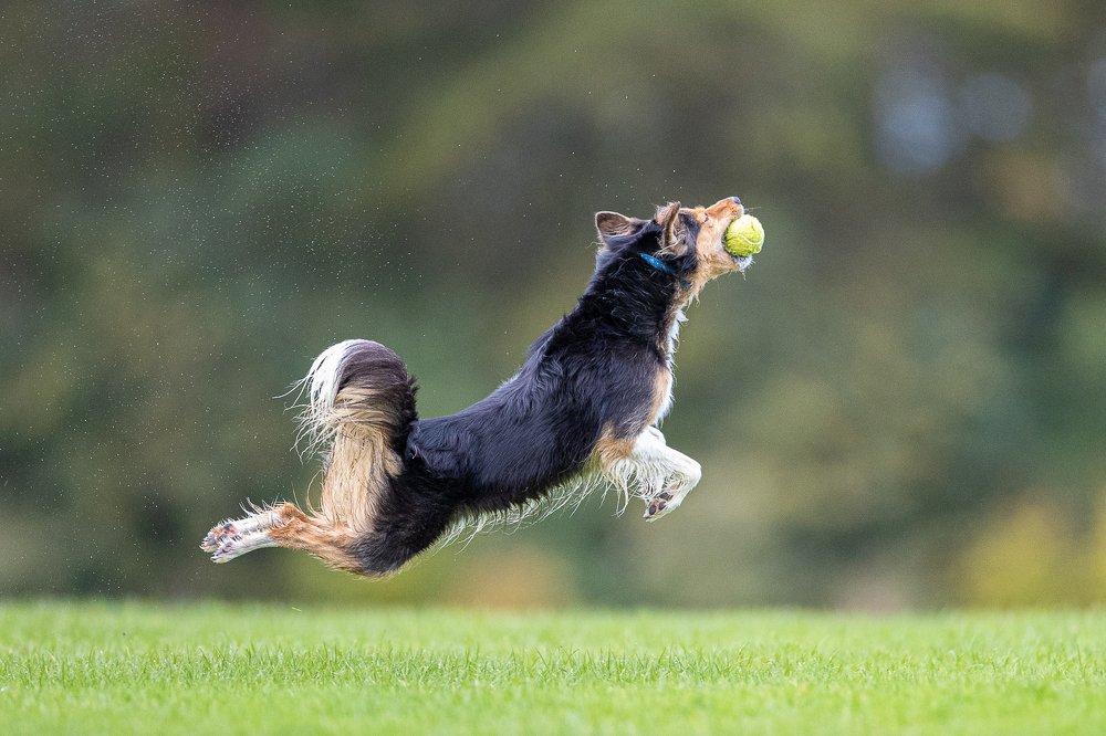 Photograph by Marek Biegalski