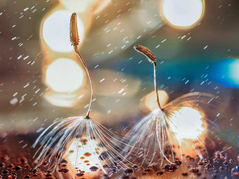 Photograph by Ольга Казакова