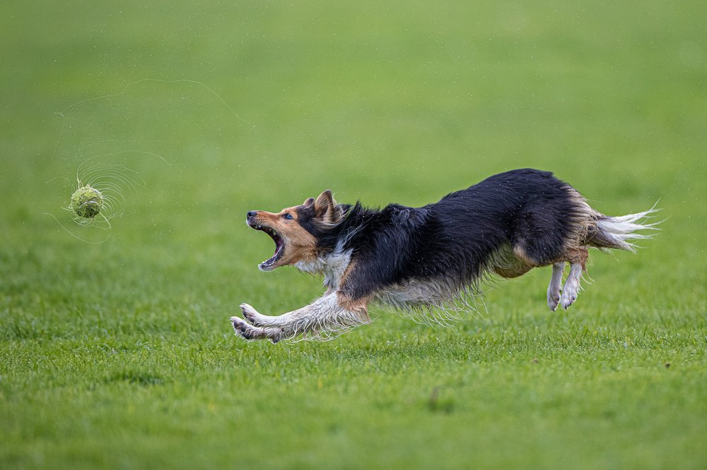 Photograph by Marek Biegalski