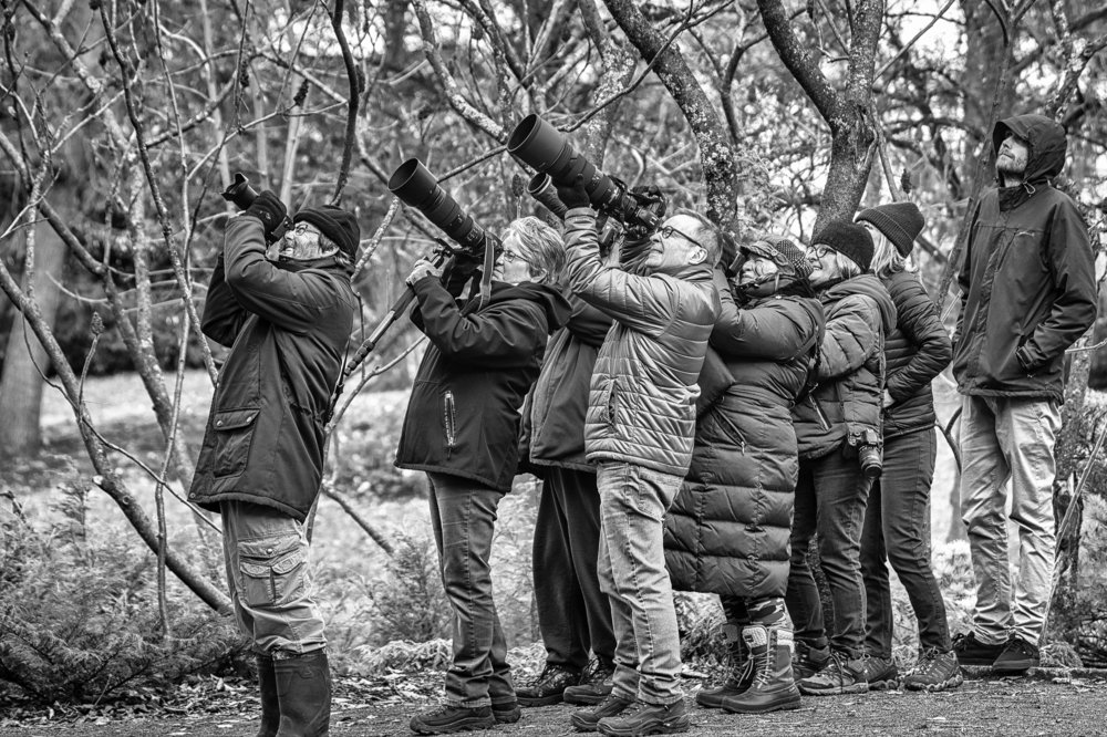 Photograph by Marc-Alain Ferragne