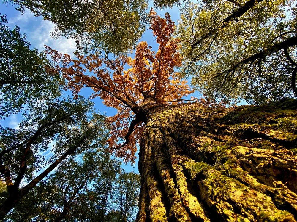 Photograph by Ольга Пилиповец