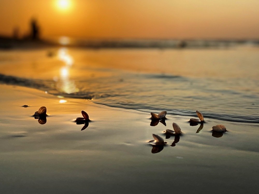 Рижский залив