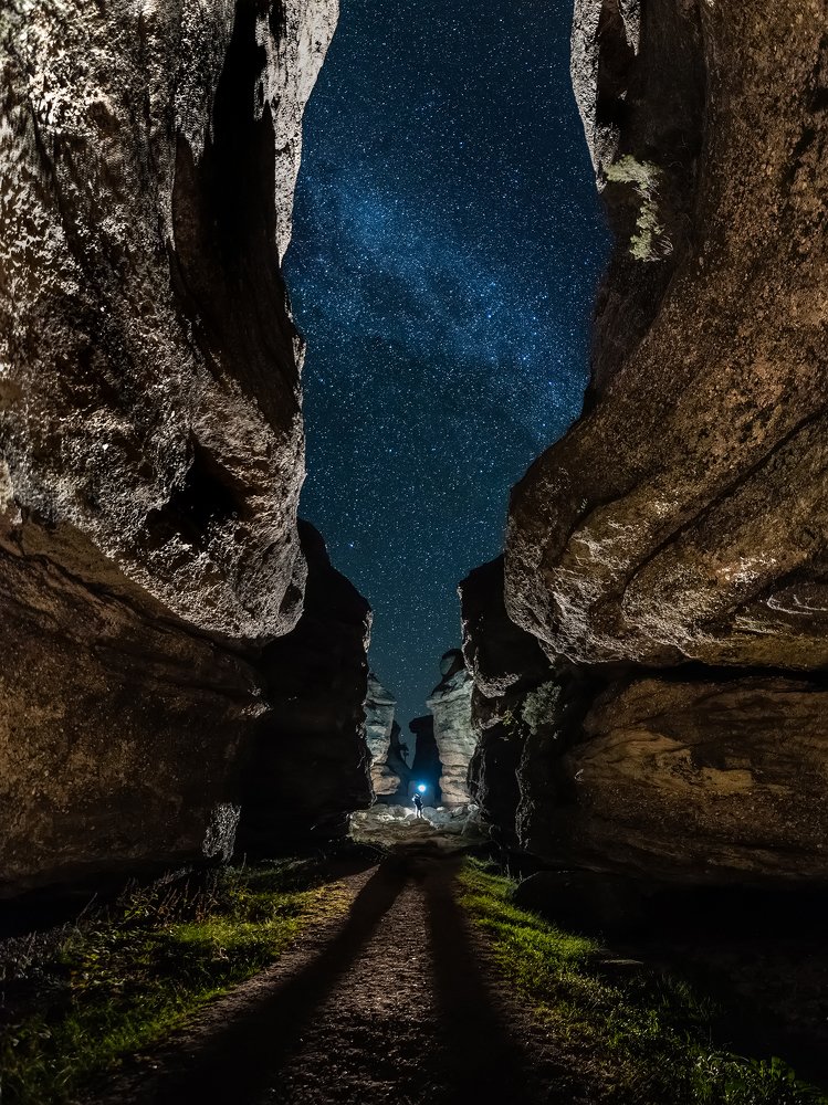 Photograph by David Araujo