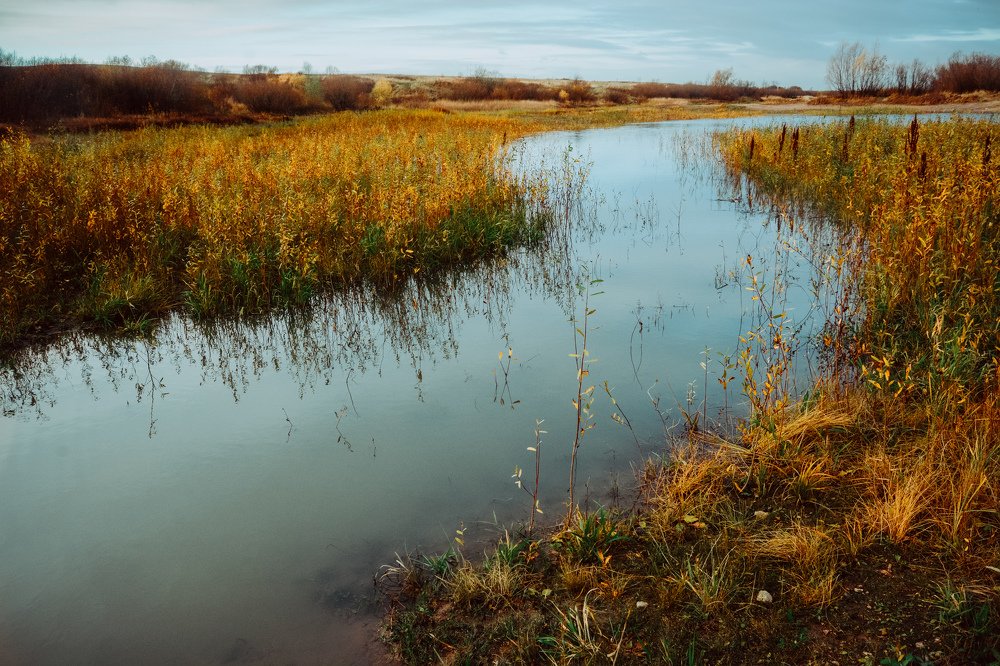 Photograph by Liguanna Anna