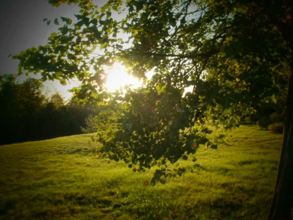 Photograph by Irina Mihailovskaya