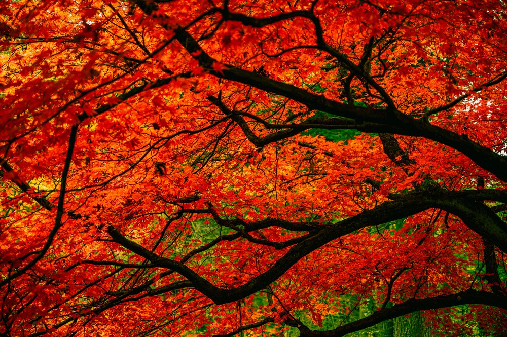 Photograph by Agnieszka Szadowiak