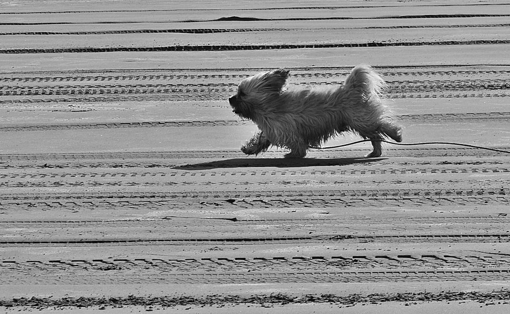 Photograph by Hector Daniel Cappuccio