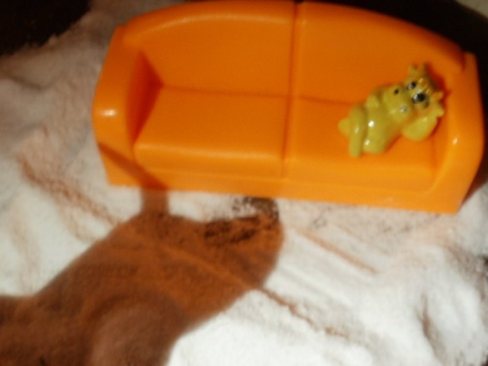 Photograph by Irina Mihailovskaya