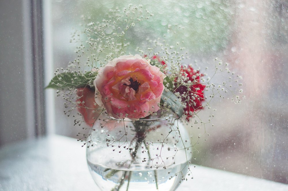 Photograph by Marina Baccardi