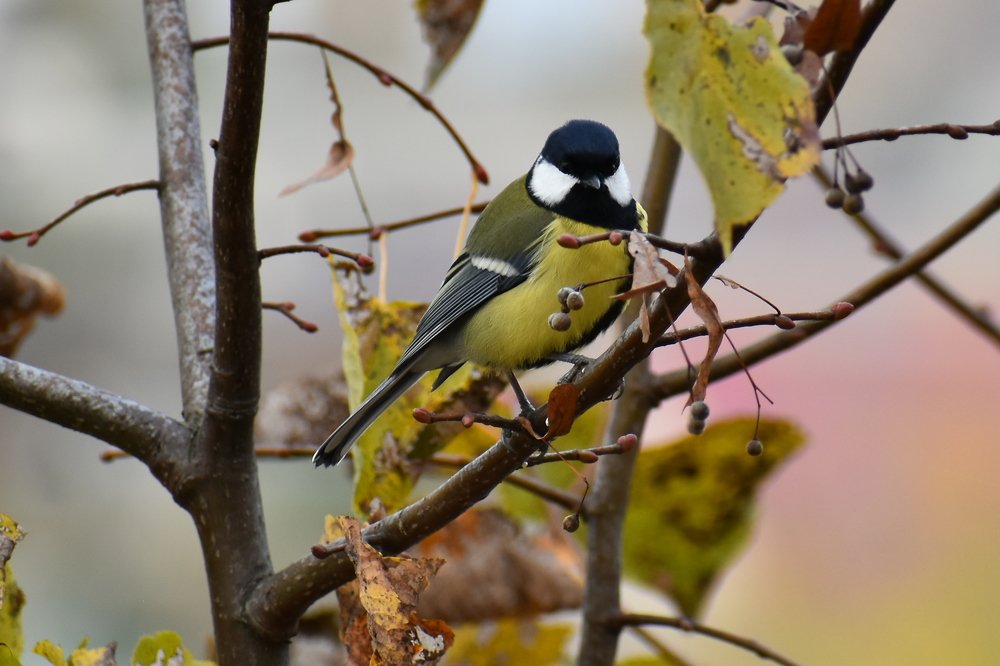 Photograph by Валерий Талейко