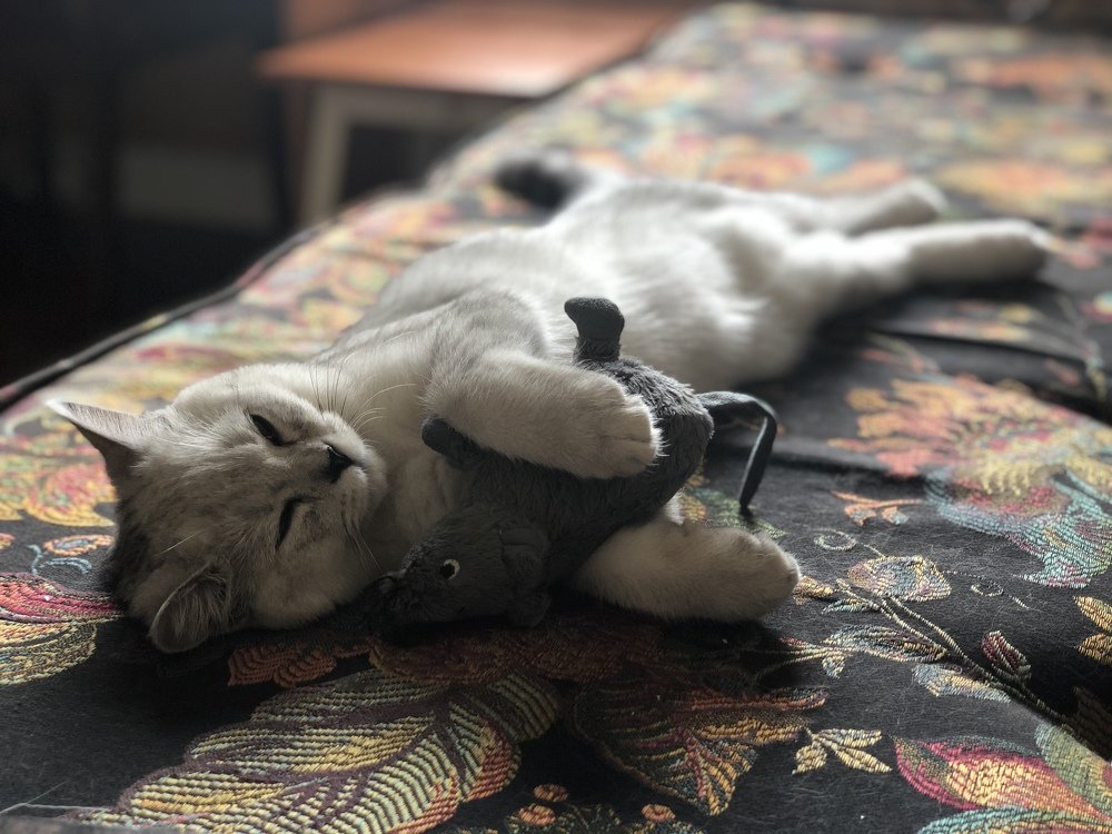 Photograph by Katsiaryna Yarmantovich