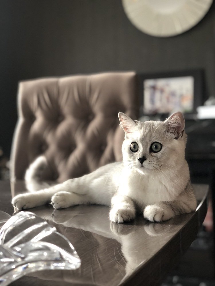 Photograph by Katsiaryna Yarmantovich