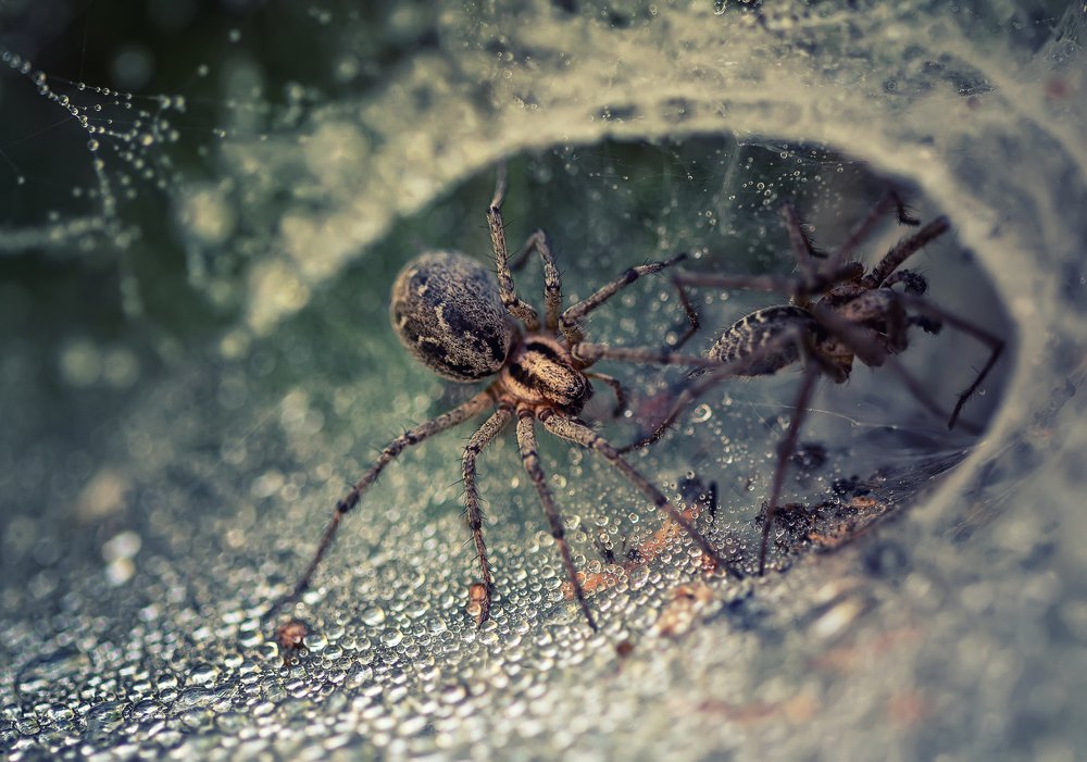 Photograph by Костадин Маджаров