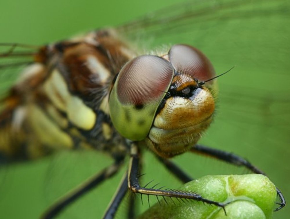 Фотография автора Наталья Законова