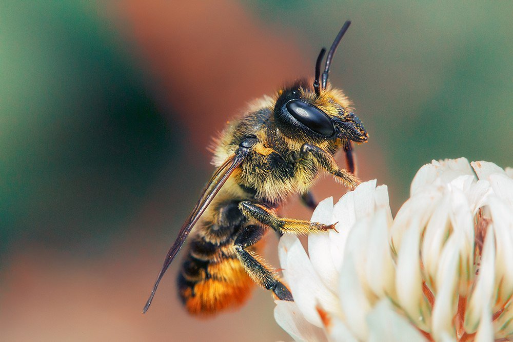 Фотография автора Наталья Законова
