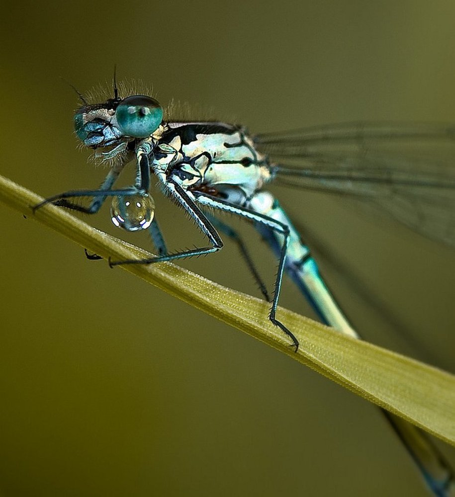 Фотография автора Наталья Законова