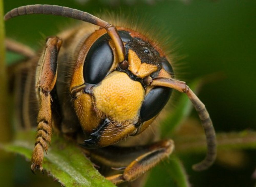 Фотография автора Наталья Законова