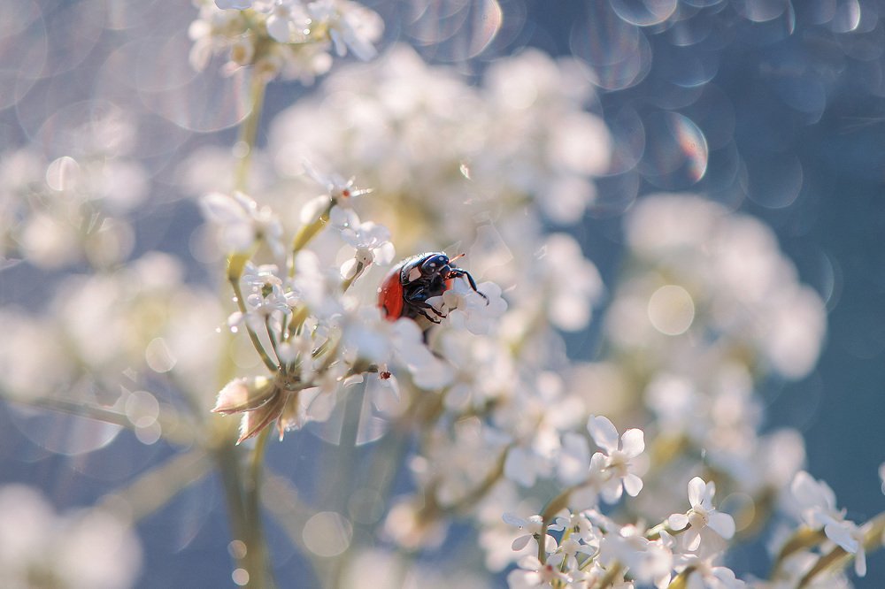 Photograph by Marina Baccardi