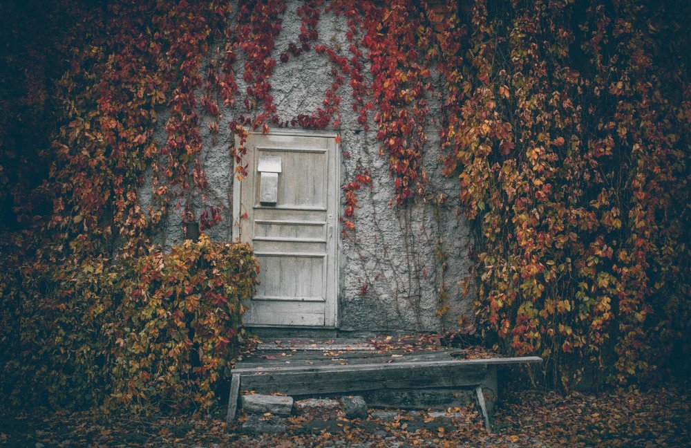 Осень в городе N