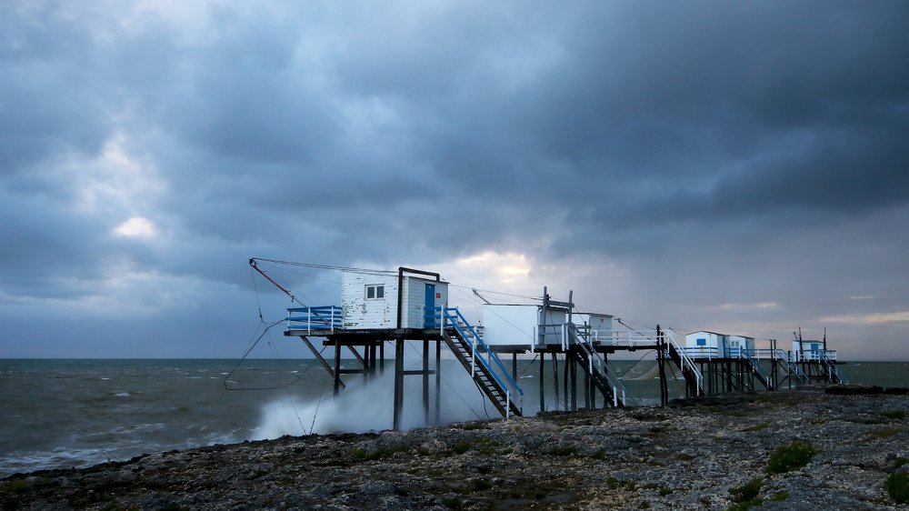 Photograph by Galina Livernette