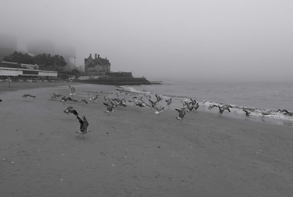 Photograph by Иван Шатный