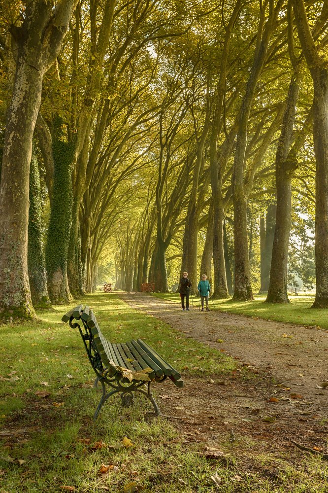 Photograph by Galina Livernette