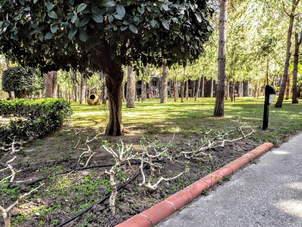 Photograph by Сергей Воронин