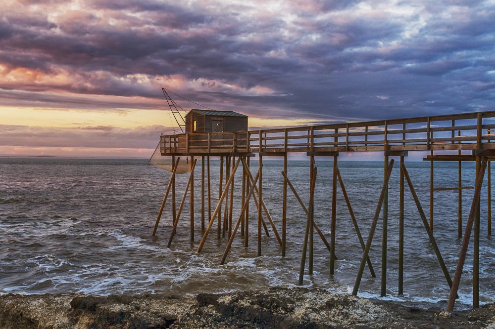 Photograph by Galina Livernette