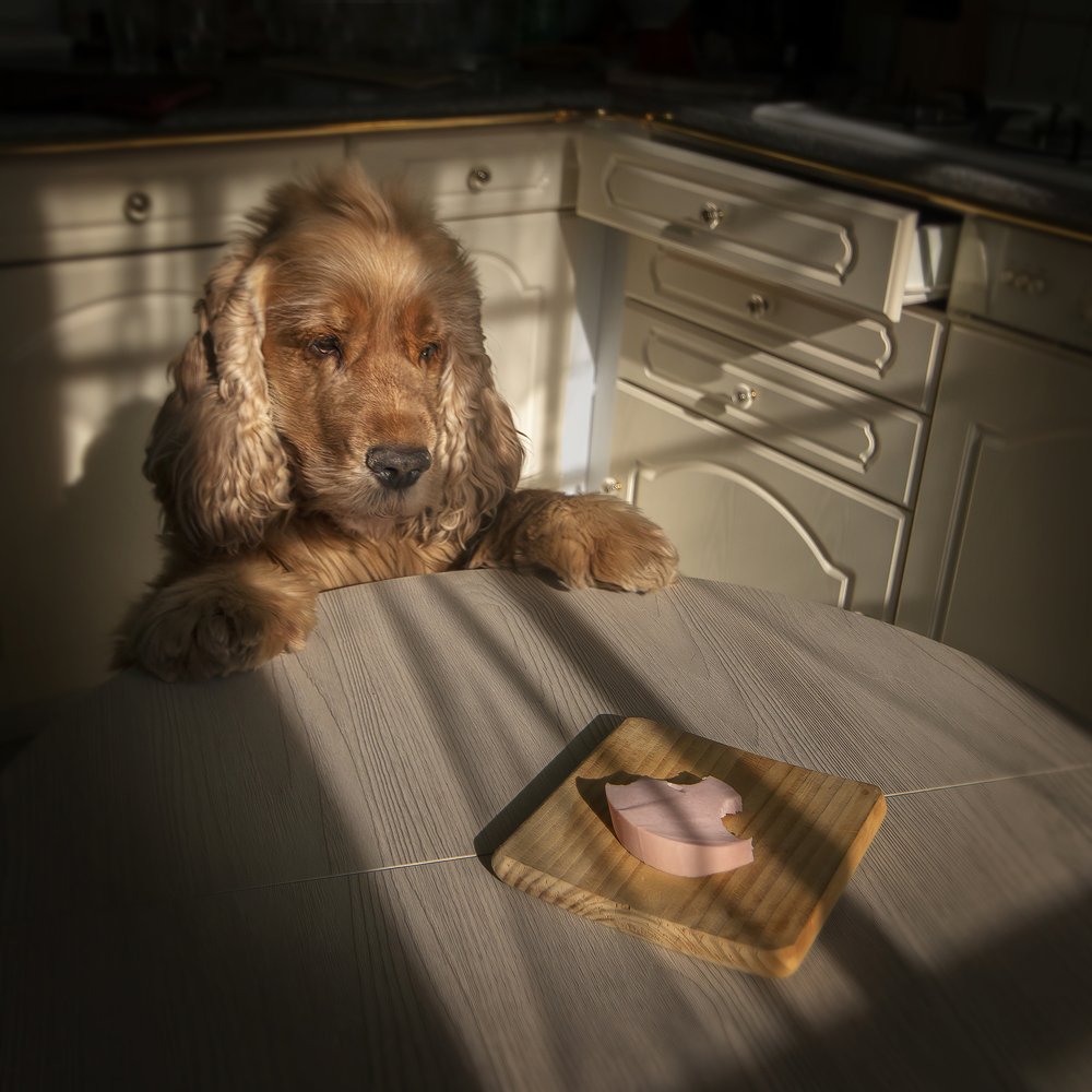 Photograph by Galina Livernette