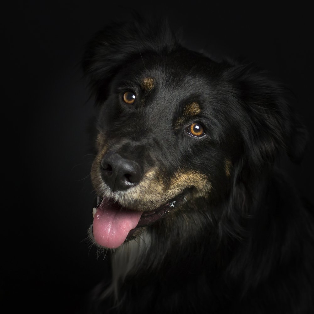 Photograph by Galina Livernette