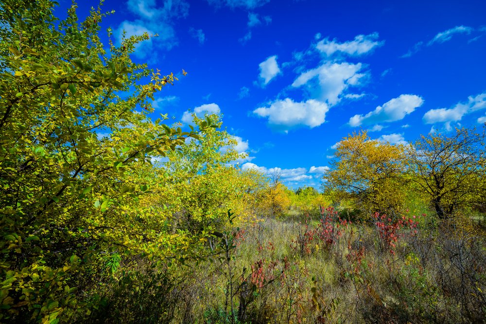 Photograph by Влад Белов