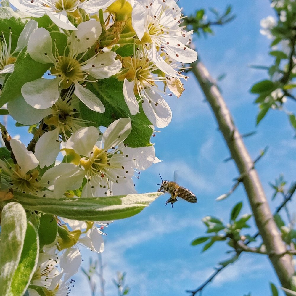 Фотография автора Сергей Побережниченко