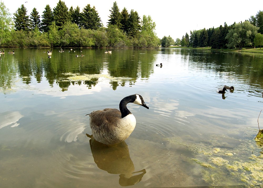 Photograph by Liliana Grup