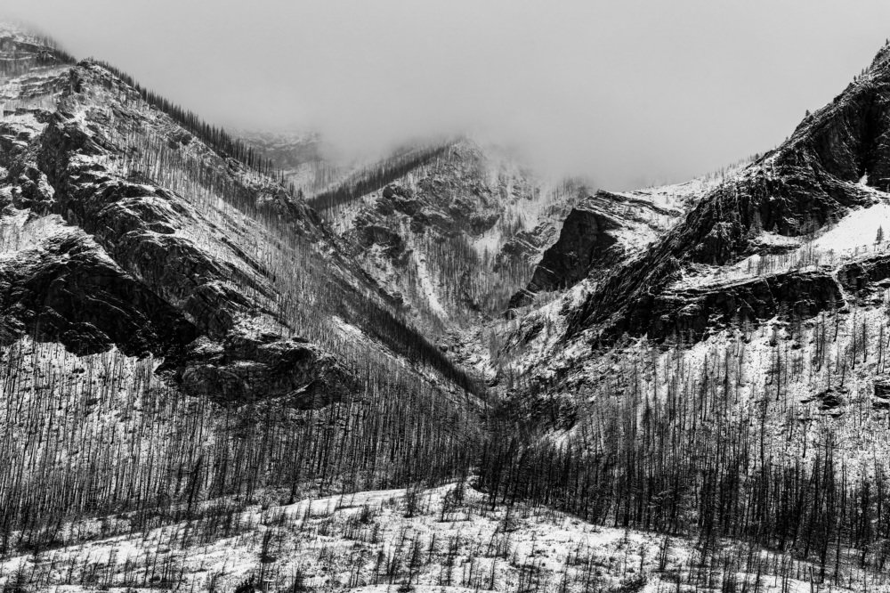 Fresh snow in the mountains