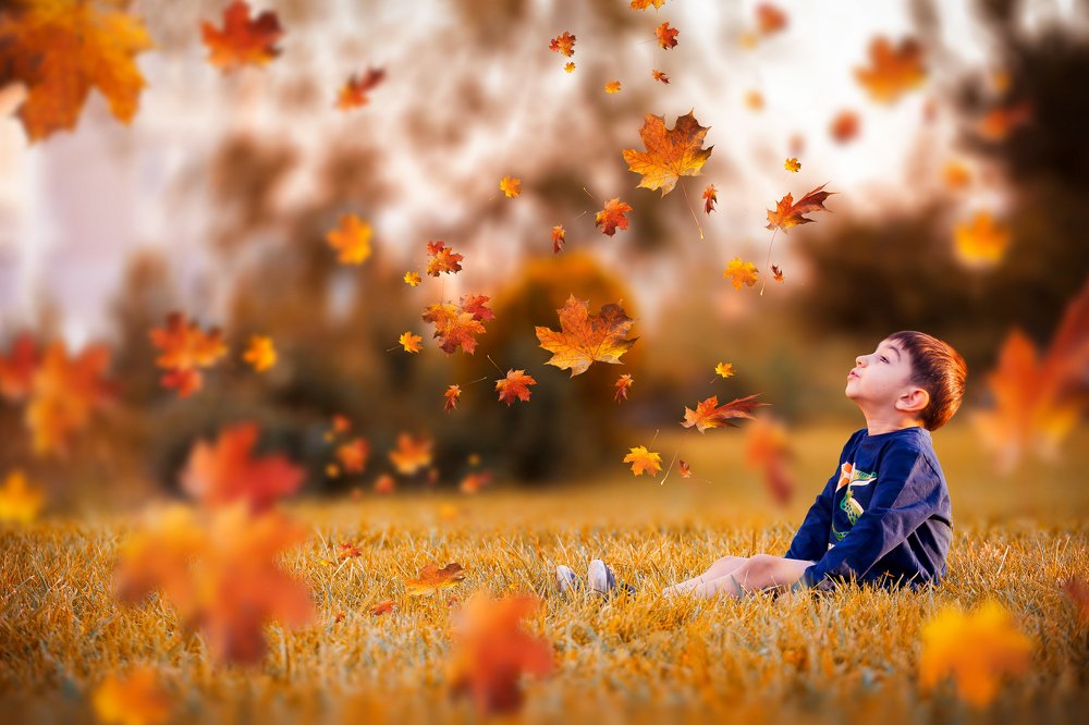 Photograph by Ali Nooralian