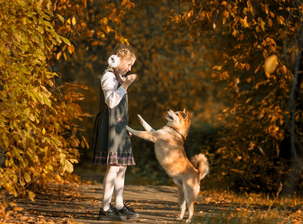 Photograph by Евгений Гецев