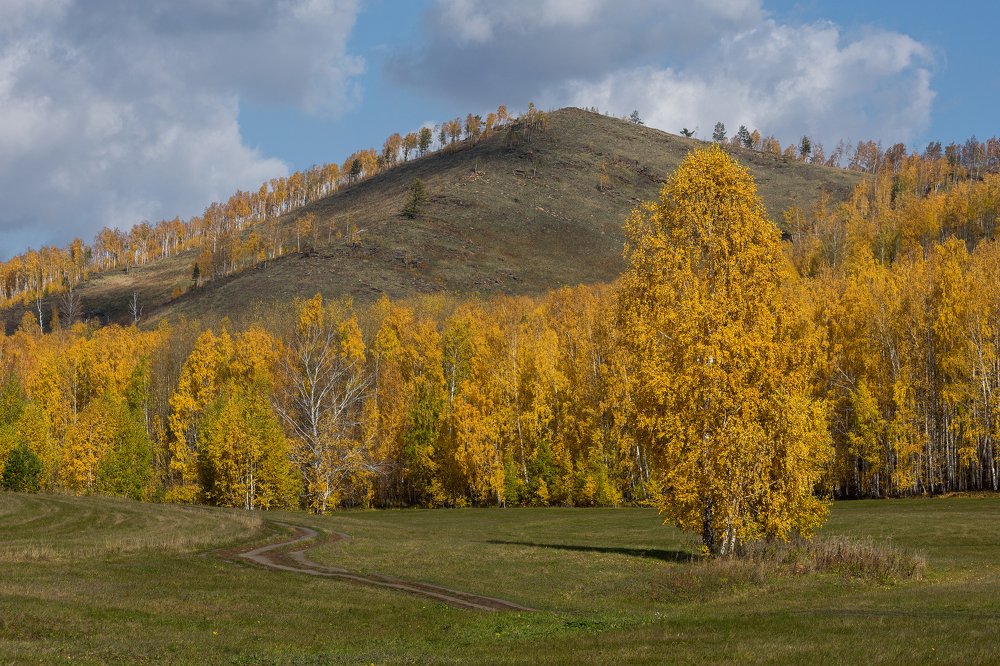 Photograph by Евгений Гецев