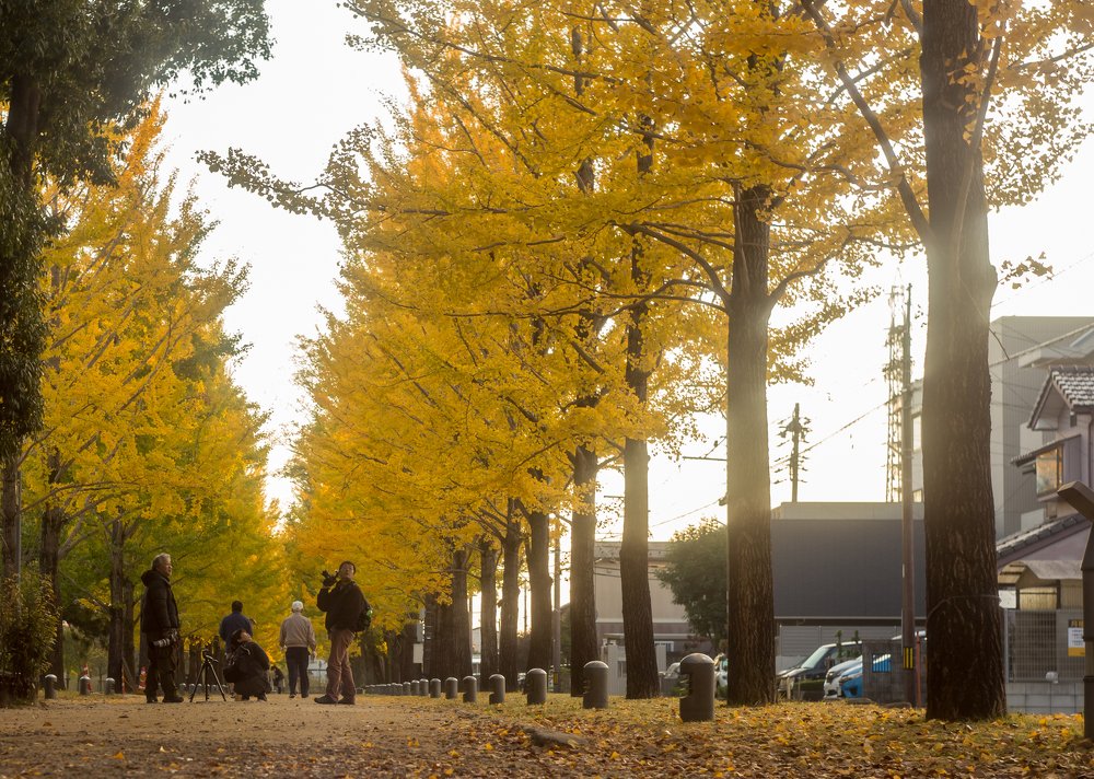 Photograph by ANH DUC